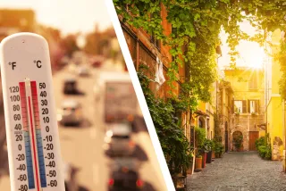 Hitzestress zu Hause besiegen mit einem Lagerraum