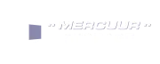 Mercuur Storage self storage provider logo