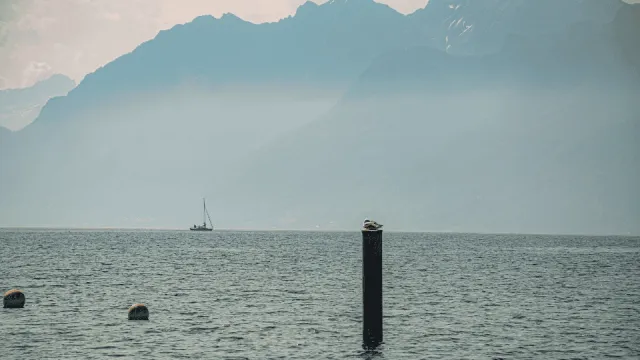 Self Stockage à Lausanne : Comparatif des Prix et Garde-Meubles