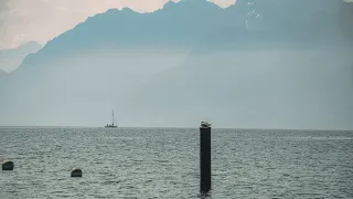 Self Stockage à Lausanne : Comparatif des Prix et Garde-Meubles