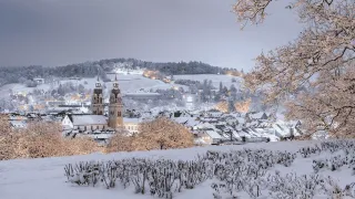 Wo ist Lagerraum mieten in Winterthur am günstigsten?