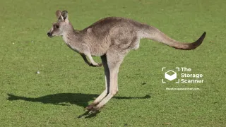 How to Save 50% by "Storage Hopping"