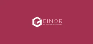 Geinor self storage provider logo