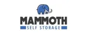 Mammoth Self Storage - 20-22 Richfield Avenue